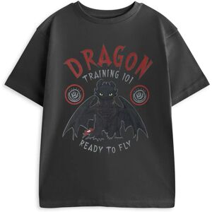 How to Train Your Dragon Boys Grey Training 101 T-Shirt How to Train Your Dragon Boys Grey Training 101 T-Shirt