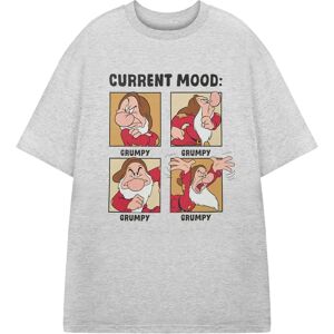 Disney Snow White and The Seven Dwarfs Grey Short Sleeve T-Shirt - T-Shirt Disney Snow White and The Seven Dwarfs Grey Short Sleeve T-Shirt - T-Shirt