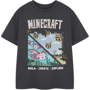 T-shirt pour Filles Minecraft Gris à Manches Courtes - T-Shirt T-shirt pour Filles Minecraft Gris à Manches Courtes - T-Shirt