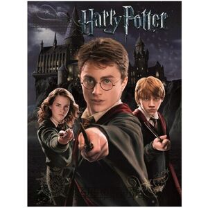 Harry Potter Harry, Ron et Hermione Impression Noire - Impression Harry Potter Harry, Ron et Hermione Impression Noire - Impression