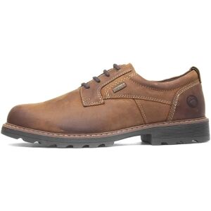 Cotswold Tadwick Waterdichte Leren Heren Schoenen - Rugged Country Work Shoes UK 12 Cotswold Tadwick Waterdichte Leren Heren Schoenen - Rugged Country Work Shoes UK 12