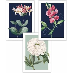 ARTZE - Vintage Flowers Honeysuckle Blue and Green - Poster ARTZE - Vintage Flowers Honeysuckle Blue and Green - Poster