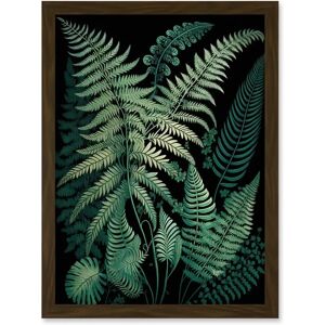 Artery8 - Ernst Haeckel Fern Fronds - Brown - A4 - Art Print Artery8 - Ernst Haeckel Fern Fronds - Brown - A4 - Art Print