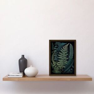 Artery8 - Leaf Illustration Fern Fronds - Ernst Haeckel Style - Wall Art Print Artery8 - Leaf Illustration Fern Fronds - Ernst Haeckel Style - Wall Art Print