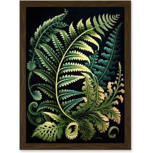 Artery8 - Fern Fronds - A4 - Framed Artery8 - Fern Fronds - A4 - Framed