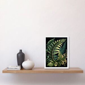 Artery8 - Fern Fronds - Ernst Haeckel Style - Framed Wall Art Artery8 - Fern Fronds - Ernst Haeckel Style - Framed Wall Art