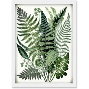 Artery8 - Haeckel Fern Fronds Watercolour Artery8 - Haeckel Fern Fronds Watercolour