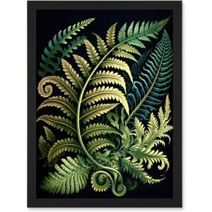 Artery8 - Ernst Haeckel Fern Fronds - A4 - Wall Art Print Artery8 - Ernst Haeckel Fern Fronds - A4 - Wall Art Print