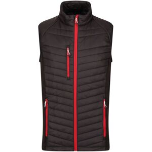 Regatta Navigate Quilted Hybrid Gilet - Black/Red Regatta Navigate Quilted Hybrid Gilet - Black/Red