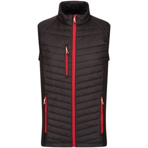 Regatta Navigate Quilted Gilet - Black/Red - M Regatta Navigate Quilted Gilet - Black/Red - M