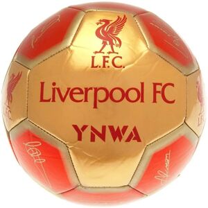 Liverpool FC ne jamais marcher seul - Football Liverpool FC ne jamais marcher seul - Football