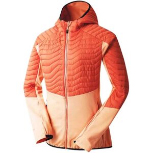 Chaqueta exterior híbrida Dare2b Altimeter II - Chaqueta Chaqueta exterior híbrida Dare2b Altimeter II - Chaqueta