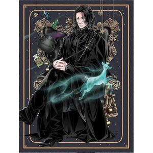 Pertemba Harry Potter Wizard Dynasty Snape Wall Art - Wall Art Pertemba Harry Potter Wizard Dynasty Snape Wall Art - Wall Art