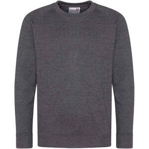 Awdis Childrens Raglan Sweatshirt - Kids Academy - Charcoal - Sweatshirt Awdis Childrens Raglan Sweatshirt - Kids Academy - Charcoal - Sweatshirt