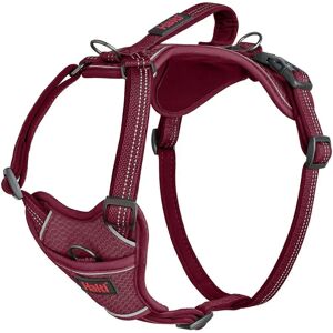 Halti Anatomy Dog Harness - S Magenta Halti Anatomy Dog Harness - S Magenta