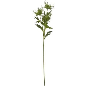 Hill Interiors Sea Holly Spray - Artificial Flower - Green - 67cm Hill Interiors Sea Holly Spray - Artificial Flower - Green - 67cm