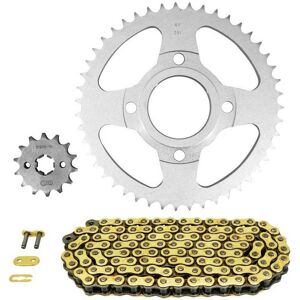 Kit chaîne Afam pour moto - Argenté - Modèle 09213114 - Haute performance Kit chaîne Afam pour moto - Argenté - Modèle 09213114 - Haute performance