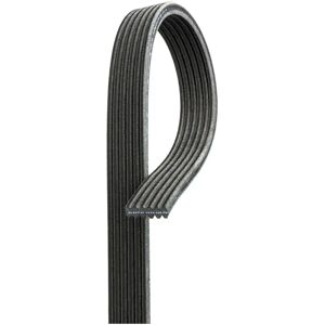 Gates Micro-V Poly-V hihna Genesis G90 - Autotarvikkeet Gates Micro-V Poly-V hihna Genesis G90 - Autotarvikkeet