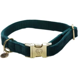 Kentucky Dogwear Collier Velours Émeraude - Collier pour Chien - Publicité Kentucky Dogwear Collier Velours Émeraude - Collier pour Chien - Publicité