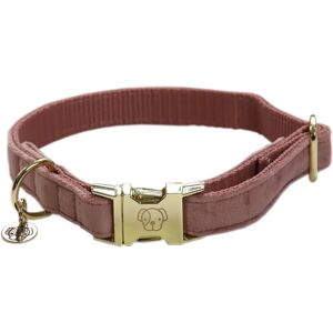 Kentucky Dogwear Collier pour chien Velours Rose Ancien - Collier pour chiens - Publicité Kentucky Dogwear Collier pour chien Velours Rose Ancien - Collier pour chiens - Publicité