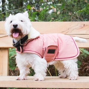 Manteau pour chien Kentucky Dogwear XXL Coral Imperméable - Résistant à l'eau et respirant - Publicité Manteau pour chien Kentucky Dogwear XXL Coral Imperméable - Résistant à l'eau et respirant - Publicité
