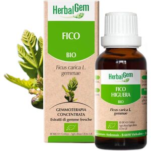 Herbalgem Gotas de Higo Bio - Apoyo Digestivo Extracto de Higuera Orgánico Herbalgem Gotas de Higo Bio - Apoyo Digestivo Extracto de Higuera Orgánico