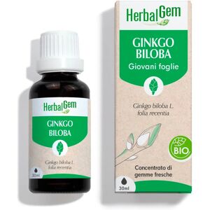 Herbalgem Italia Srl Ginkgo Biloba Foglie Gocce 30 ml Herbalgem Italia Srl Ginkgo Biloba Foglie Gocce 30 ml