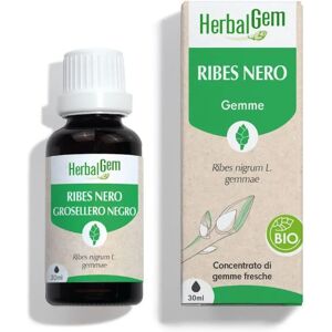 Herbalgem Brotes de Grosella Negra Orgánicos - Apoyo Natural Herbalgem Brotes de Grosella Negra Orgánicos - Apoyo Natural
