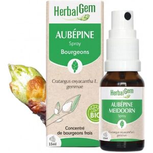 Spray Bio d'Épine Blanche - Complément Alimentaire Spray Bio d'Épine Blanche - Complément Alimentaire