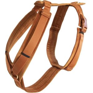 Harnais pour chien Velvet Orange XS de Kentucky Dogwear - Harnais - Publicité Harnais pour chien Velvet Orange XS de Kentucky Dogwear - Harnais - Publicité