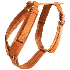 Kentucky Dogwear Harnais L Velours Orange - Actif - Publicité Kentucky Dogwear Harnais L Velours Orange - Actif - Publicité