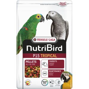 Nourriture pour perroquets Versele-Laga P15 Tropical - 1 Kg - Publicité Nourriture pour perroquets Versele-Laga P15 Tropical - 1 Kg - Publicité