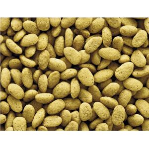 Alimento para Loros Versele-laga P19 - Fórmula completamente absorbible Alimento para Loros Versele-laga P19 - Fórmula completamente absorbible