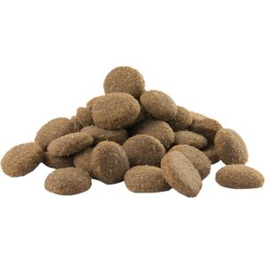 Versele-Laga Adult Maxi - Hrană pentru câini de talie mare Versele-Laga Adult Maxi - Hrană pentru câini de talie mare