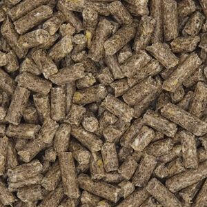 Versele-Laga Austru 3 Pellet - Pienso para aves Versele-Laga Austru 3 Pellet - Pienso para aves