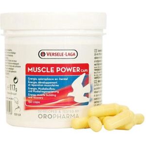Versele-Laga Potencia Muscular para Aves - Aminoácidos - 150 Cápsulas Versele-Laga Potencia Muscular para Aves - Aminoácidos - 150 Cápsulas