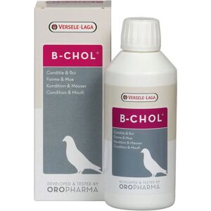Versele-Laga B-chol - Liver Support Supplement for Pigeons - 500ml Versele-Laga B-chol - Liver Support Supplement for Pigeons - 500ml