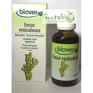Extracto de Fucus Vesiculosus Biover - Extracto de hierbas para pérdida de peso Extracto de Fucus Vesiculosus Biover - Extracto de hierbas para pérdida de peso