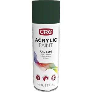 CRC Grüner Acryl-Sprayfarbe - Schnelltrocknend - Für Metall & Holz - 400ml CRC Grüner Acryl-Sprayfarbe - Schnelltrocknend - Für Metall & Holz - 400ml