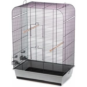 Cage à oiseaux Duvoplus avec accessoires - Gris et Noir 54x34x75cm - Publicité Cage à oiseaux Duvoplus avec accessoires - Gris et Noir 54x34x75cm - Publicité