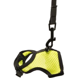 Harnais et Laisse pour Petits Rongeurs - Jaune - Publicité Harnais et Laisse pour Petits Rongeurs - Jaune - Publicité