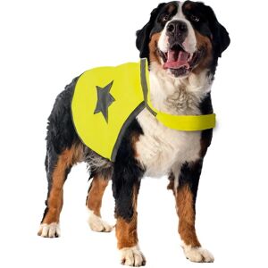 Gilet de sécurité réfléchissant pour chiens XL Duvo+ - Publicité Gilet de sécurité réfléchissant pour chiens XL Duvo+ - Publicité
