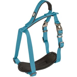 Harnais pour Chien North de DUVO+ - Petit, Bleu, Design Ergonomique - Publicité Harnais pour Chien North de DUVO+ - Petit, Bleu, Design Ergonomique - Publicité