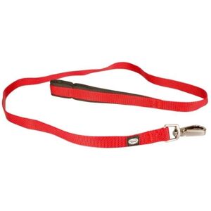 Laisse en nylon S/M - Accessoire pour chien - Publicité Laisse en nylon S/M - Accessoire pour chien - Publicité
