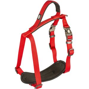 Harnais pour chien DUVO+ - Rouge - Taille N.o 2 - Harnais pour chiens - Publicité Harnais pour chien DUVO+ - Rouge - Taille N.o 2 - Harnais pour chiens - Publicité