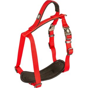 Harnais pour Chien DUVO+ North Explorer - Rouge - Taille: N.o 4 - Publicité Harnais pour Chien DUVO+ North Explorer - Rouge - Taille: N.o 4 - Publicité