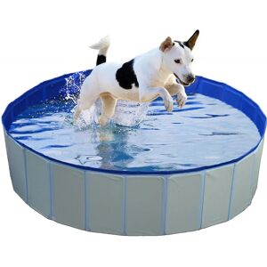 Piscine pour Chiens DUVO - Bleu - 120x30cm - PVC - Publicité Piscine pour Chiens DUVO - Bleu - 120x30cm - PVC - Publicité