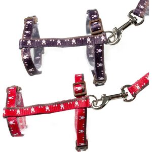 Collier et laisse pour lapins - Harnais et laisse pour animaux - Publicité Collier et laisse pour lapins - Harnais et laisse pour animaux - Publicité