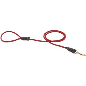 Laisse pour Chien Rouge DUVO+ - 135cm/8mm - Matériau Durable - Publicité Laisse pour Chien Rouge DUVO+ - 135cm/8mm - Matériau Durable - Publicité