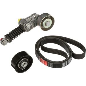 GATES EuroGrip K016PK1565 Kit de Correa de Tiempo - Micro-V, Calidad OEM GATES EuroGrip K016PK1565 Kit de Correa de Tiempo - Micro-V, Calidad OEM